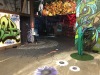 Dozer's Warehouse flytrap and flowers