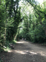 Parkland Walk, London