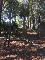 Sailor's plot, Camperdown Cemetery